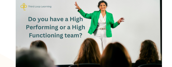 Do you have a High Performing or a High Functioning team (1)